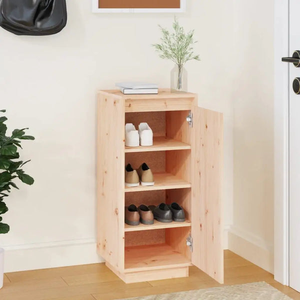 Amenagement Placard Chaussure