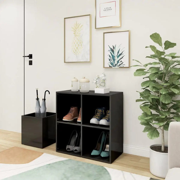 Armoire Chaussure Coulissante