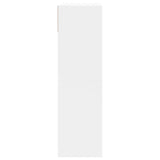 Armoire Meuble Blanc a Chaussures avec Tiroir