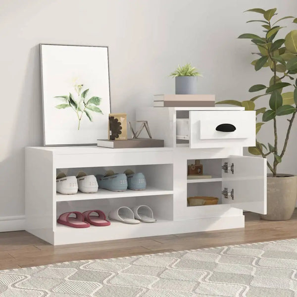 Meuble a Chaussure 2 Abattants Blanc Brillant