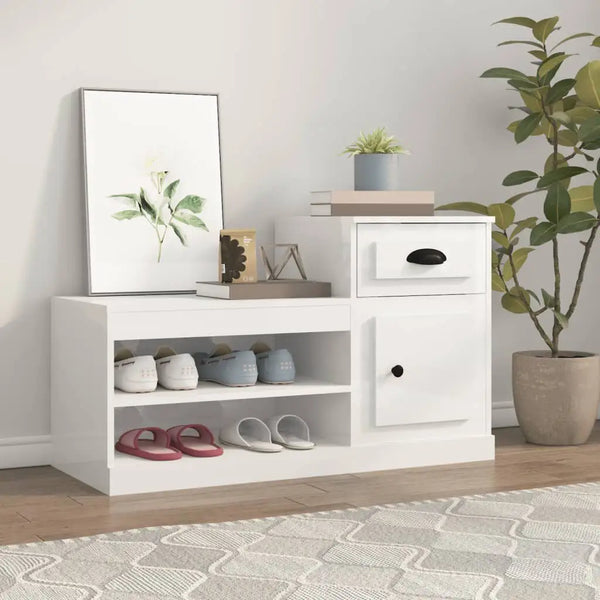 Meuble a Chaussure 2 Abattants Blanc Brillant