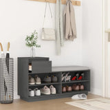 Meuble a Chaussure Gris
