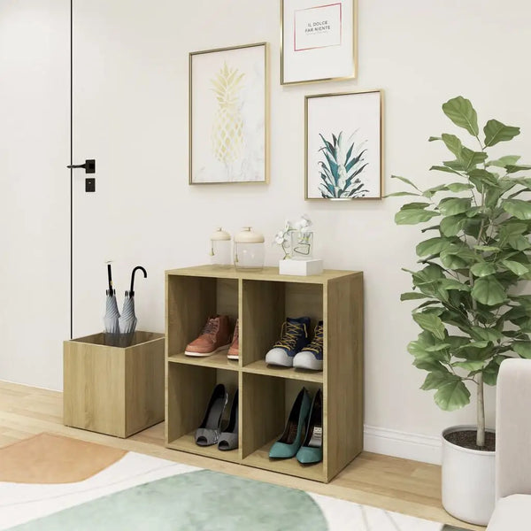 Meuble a Chaussures Bois Brut