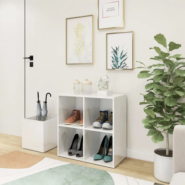Meuble à Chaussures Brillant Blanc ou Crème