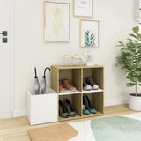 Meuble Chaussure Blanc pas Cher