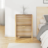 Meuble Chaussure Placard