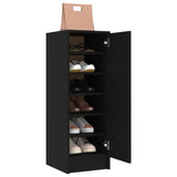 Placard Chaussures Exterieur