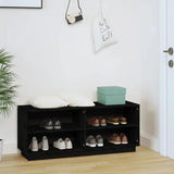 Placard des Chaussures